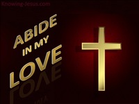 God’s Gift of Love - Man’s Nature and Destiny (32)